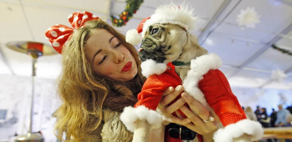 Erster Weihnachtsmarkt für Hunde eröffnet (Symbolbild). 