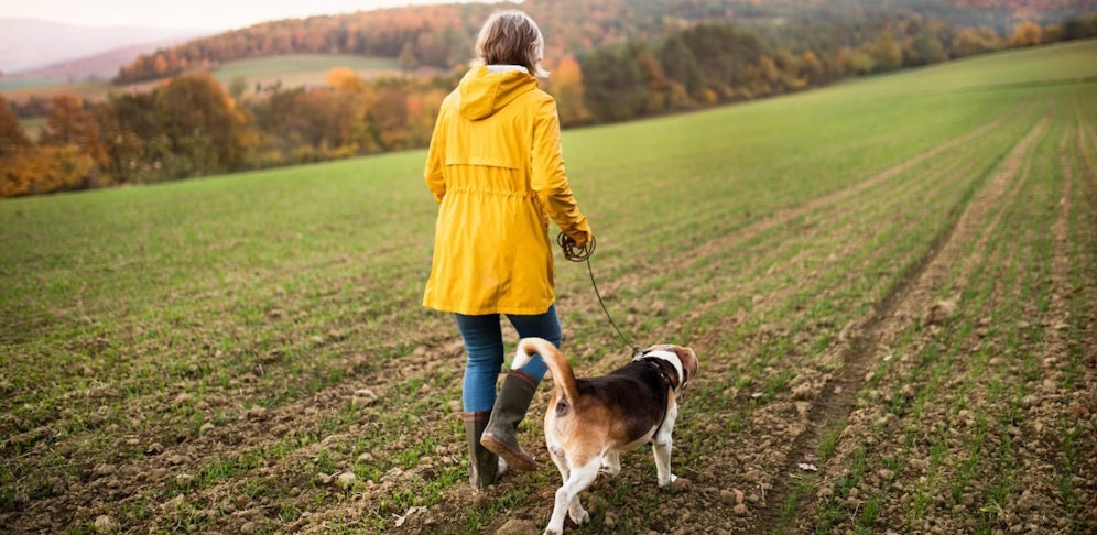 Als der Hund einige Meter davonlief, verfing er sich  mit dem Kopf in einer "Conibear-Falle" (Symbolbild).