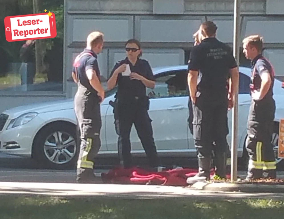 Angefahren: Für das Reh kam leider jede Hilfe zu spät.