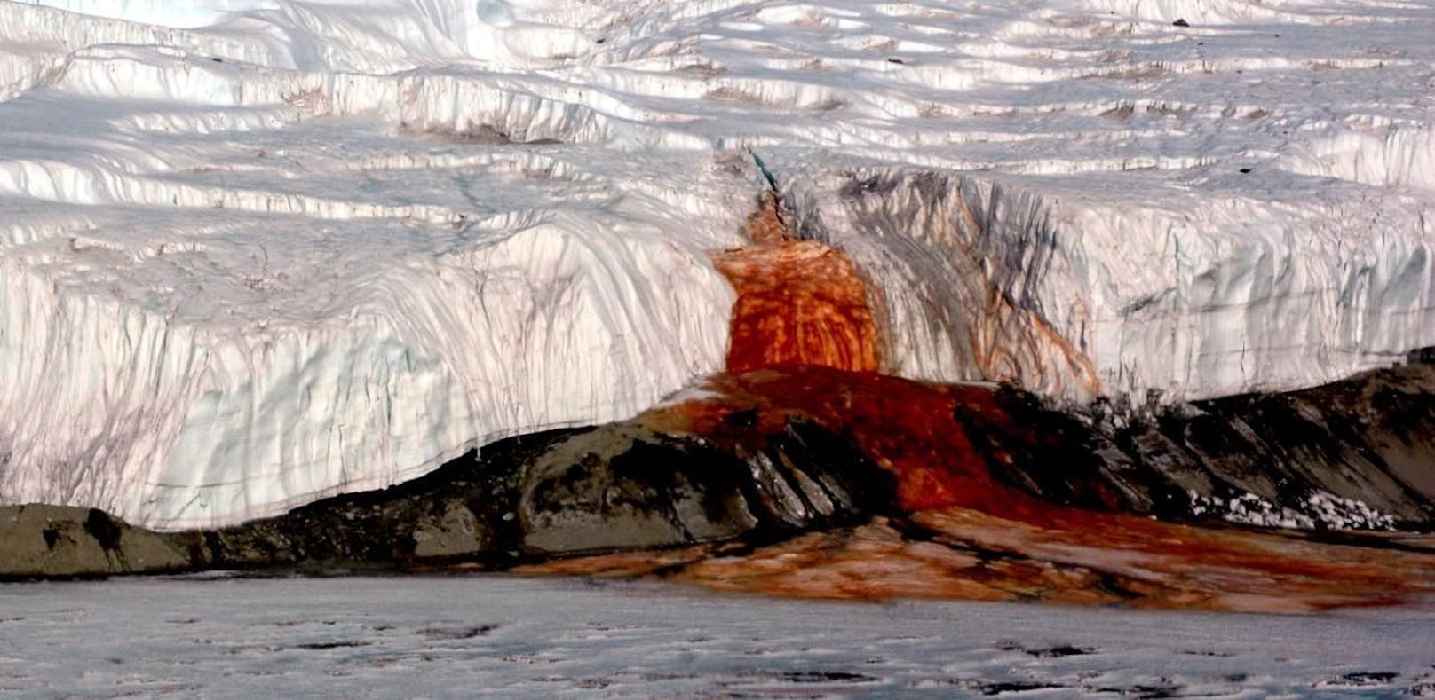Forscher lösen Rätsel um Blut-Gletscher
