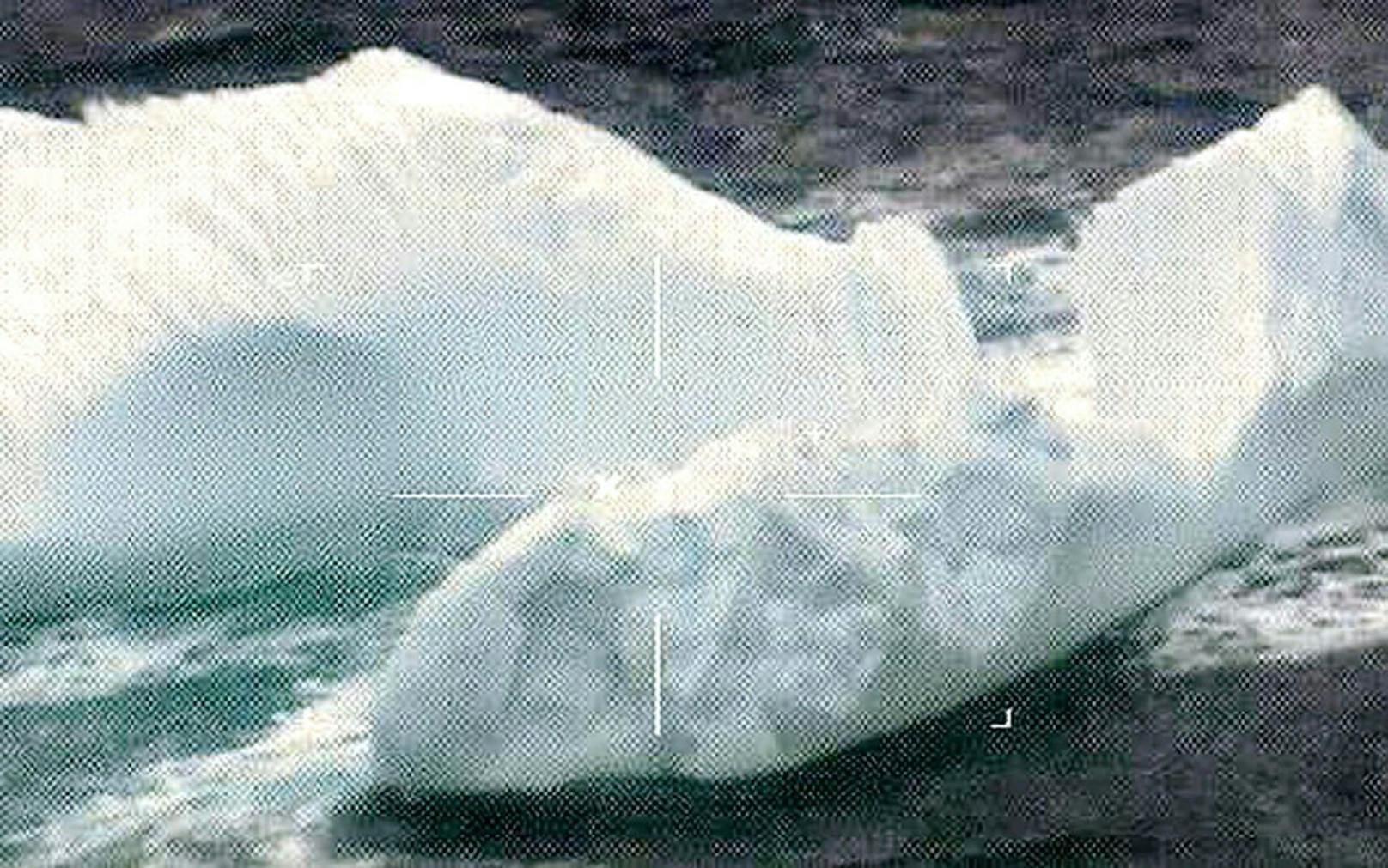 Eisberge nahe der &quot;Grand Banks&quot; von Neufundland