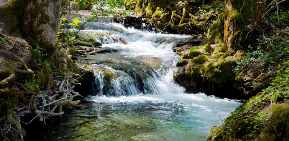 Das Wasser an der Unfallstelle war nur rund 30 Zentimeter tief. Symbolfoto.