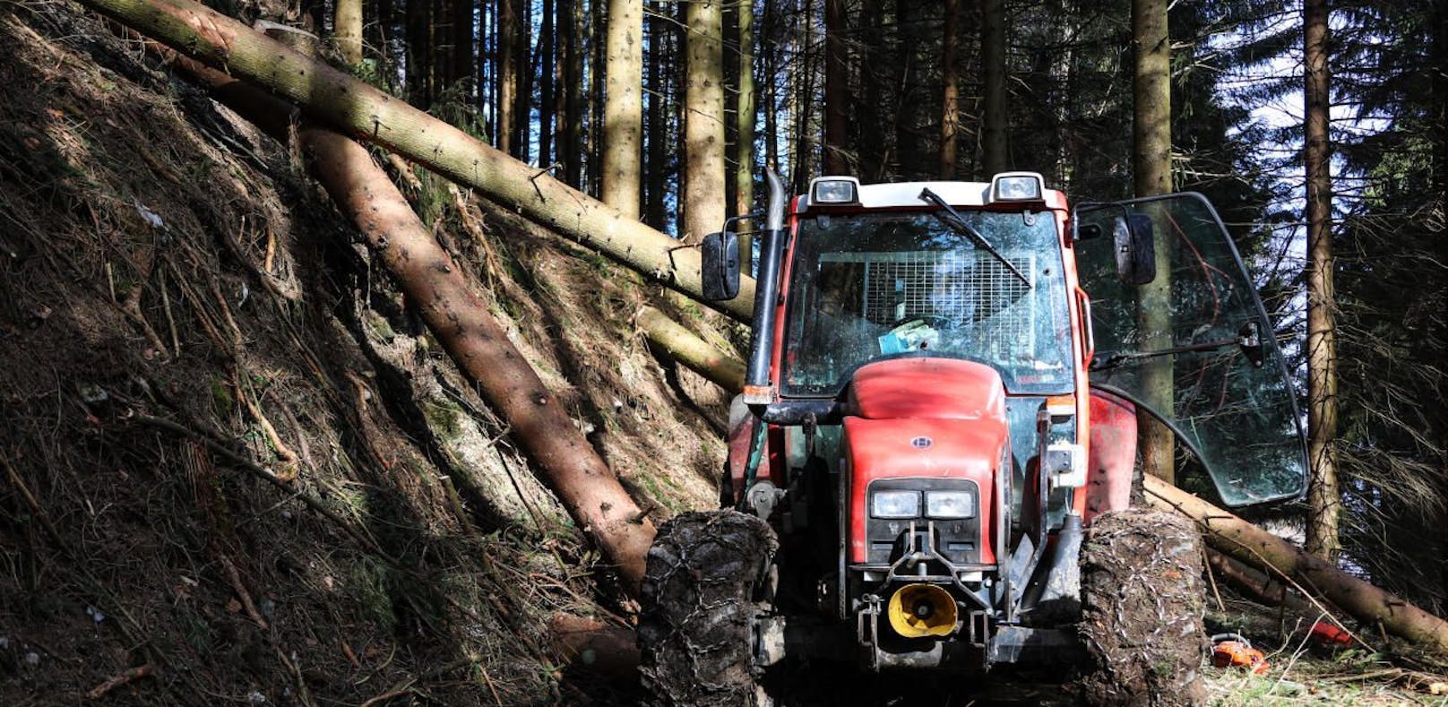 Traktor-Lenker fast von Baumstamm geköpft