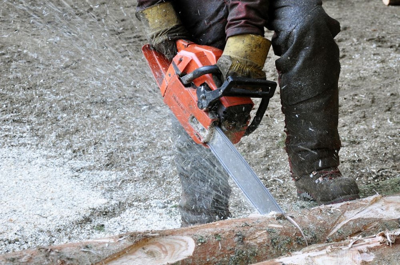 Heute.at - Von Ast getroffen! Frau fand toten Mann im Wald