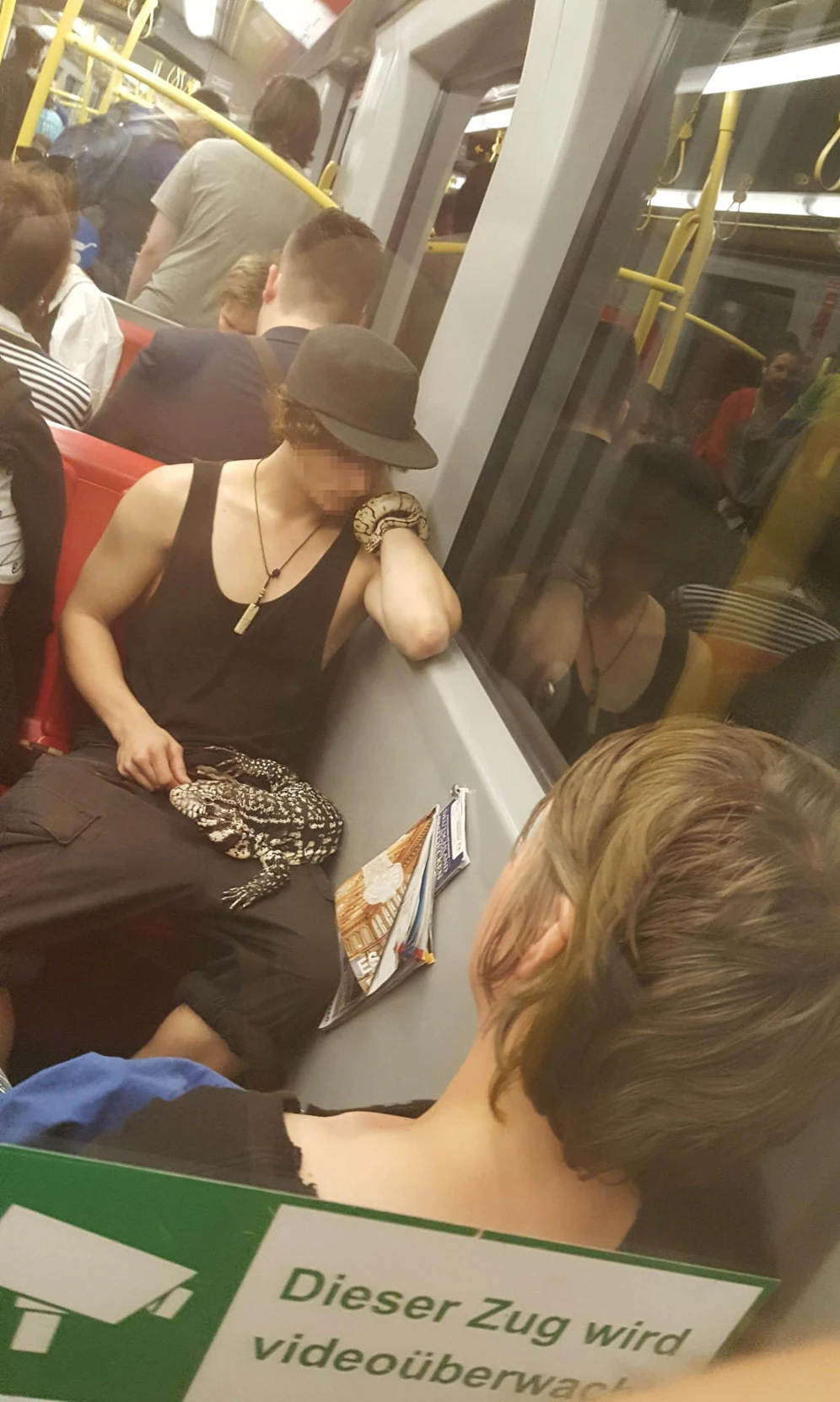 Echse am Schoß, Schlange ums Handgelenk: Dieser Öffi-Fahrgast steht auf Tiere!