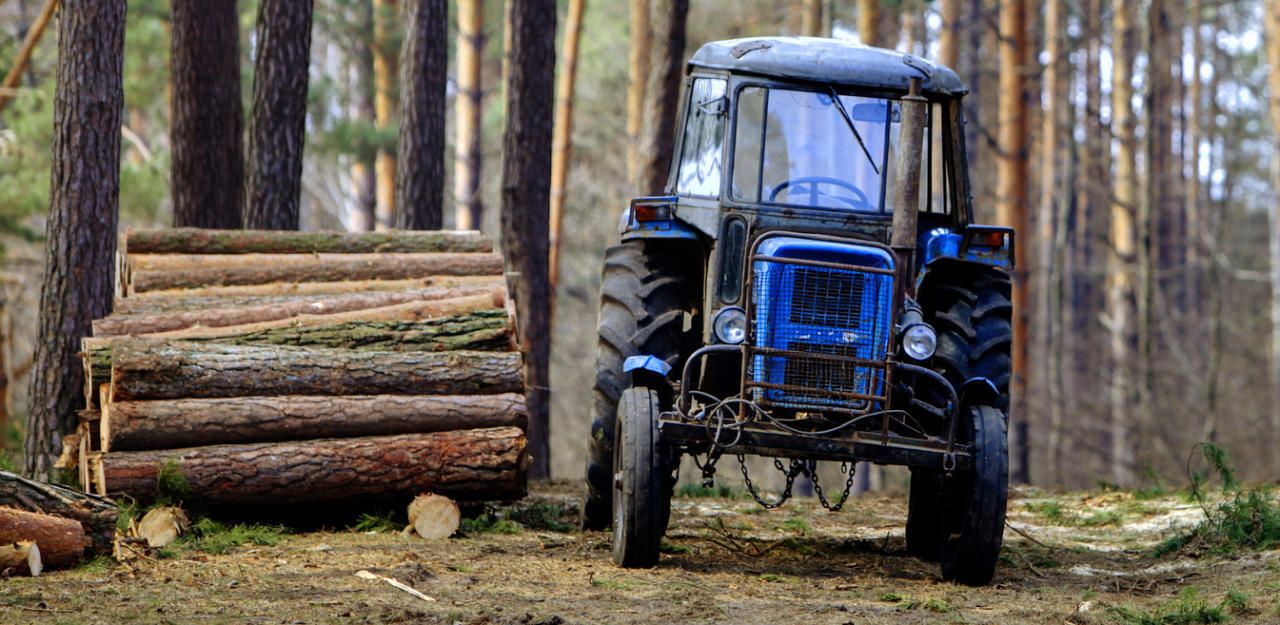 Heute.at - Landwirt verblutet am Traktor neben seiner Frau