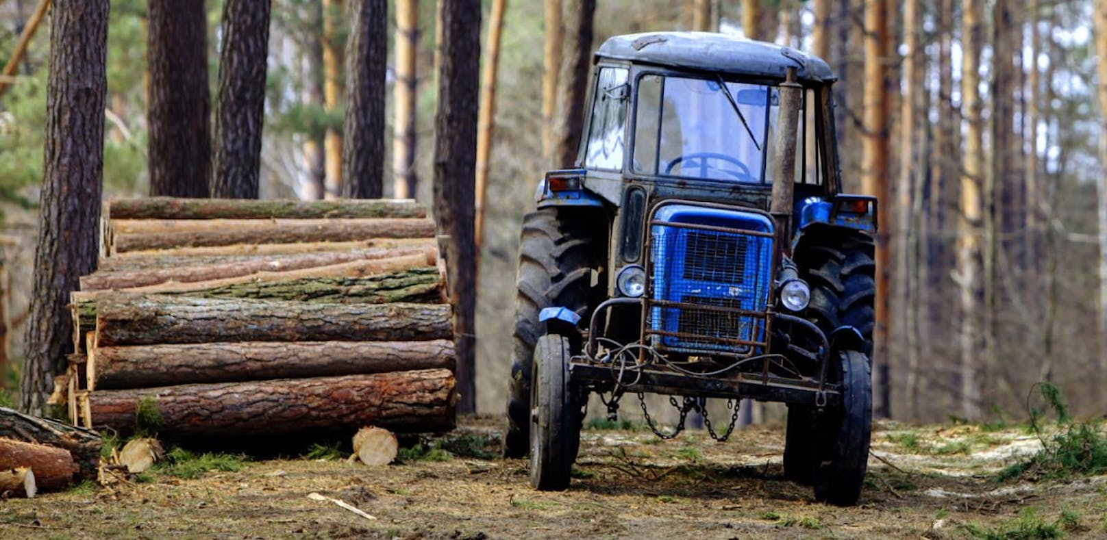 Ein Traktor für Forstarbeiten. Symbolbild
