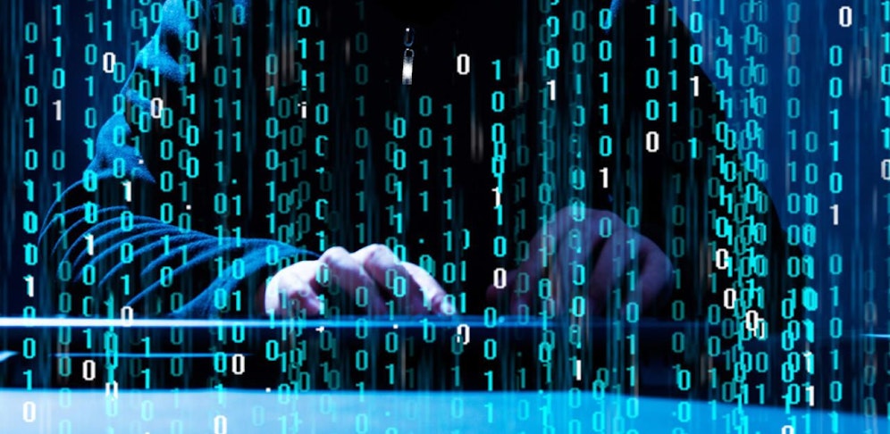 Der 19-jährige Hacker verdient ein Vermögen.