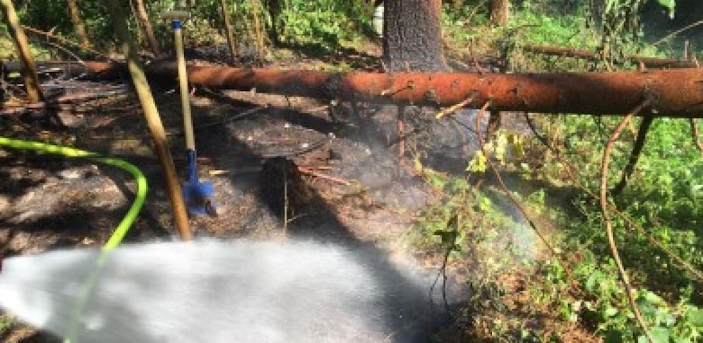 Im Ortsgebiet von Mauthausen kam es zu einem Waldbrand.