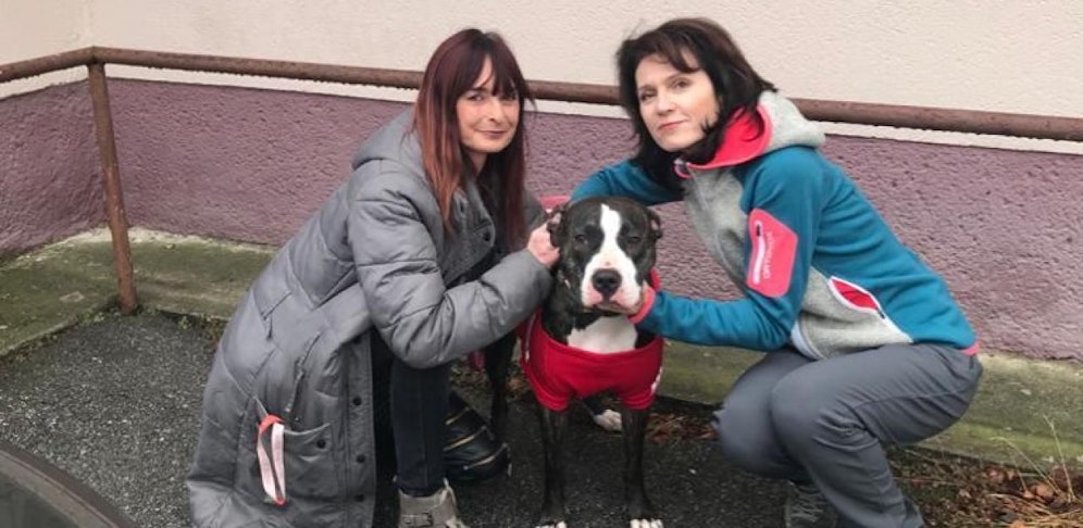 Alexandra G. mit ihrer Anwältin Astrid Wagner und Hündin "Bella"