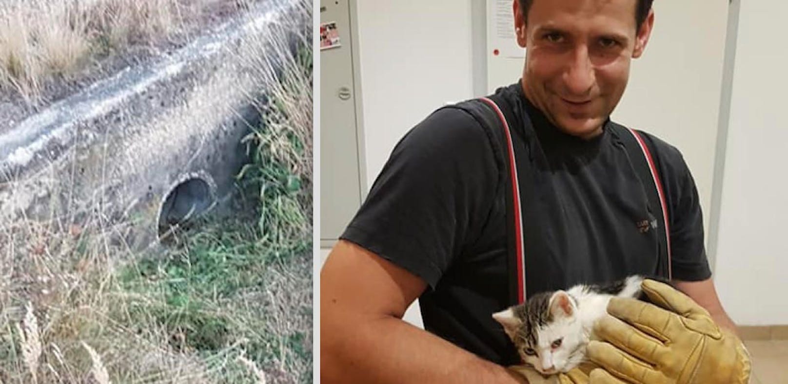 Feuerwehr rettet Katze aus Betonrohr