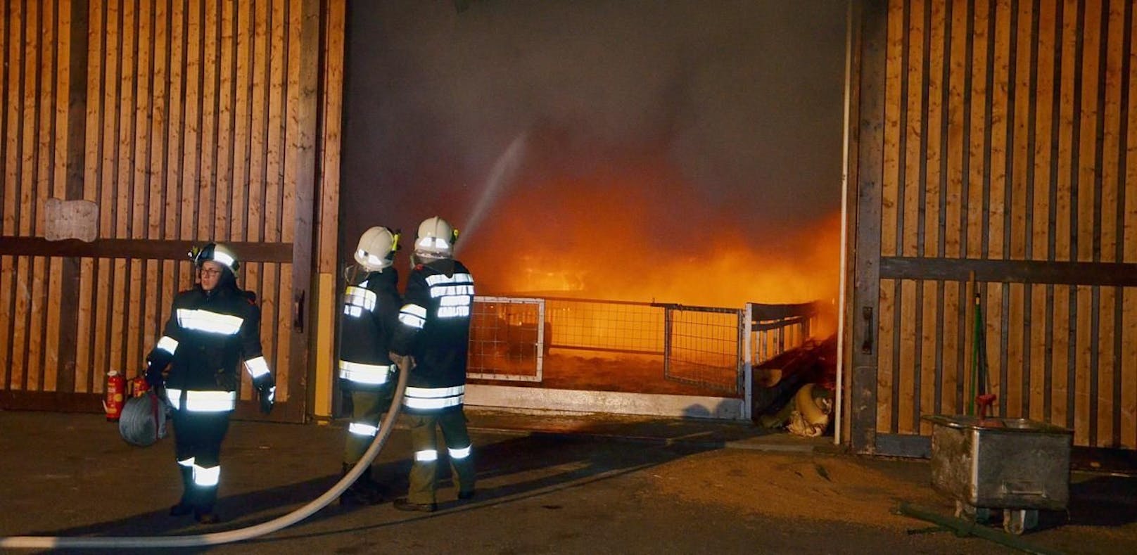 Feuerwehr rettet 150 Kälber aus Flammen