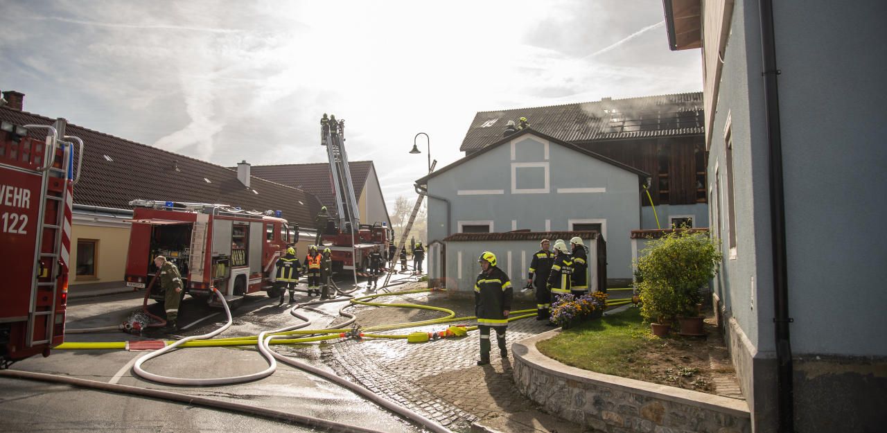 Heute.at - 600 Schweine in Flammenhölle gefangen