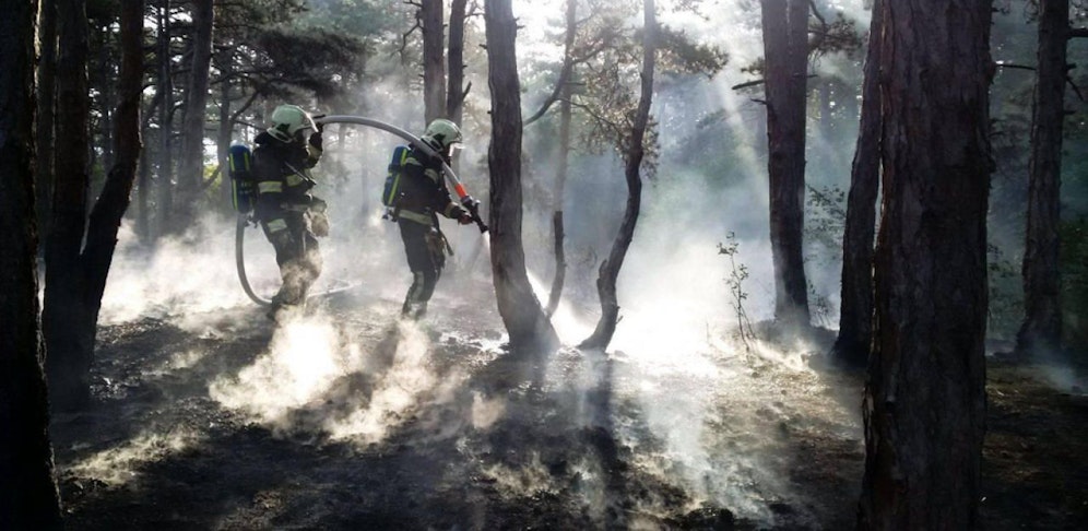 Wegen der Trockenheit steigt die Waldbrandgefahr drastisch. (Symbolbild)