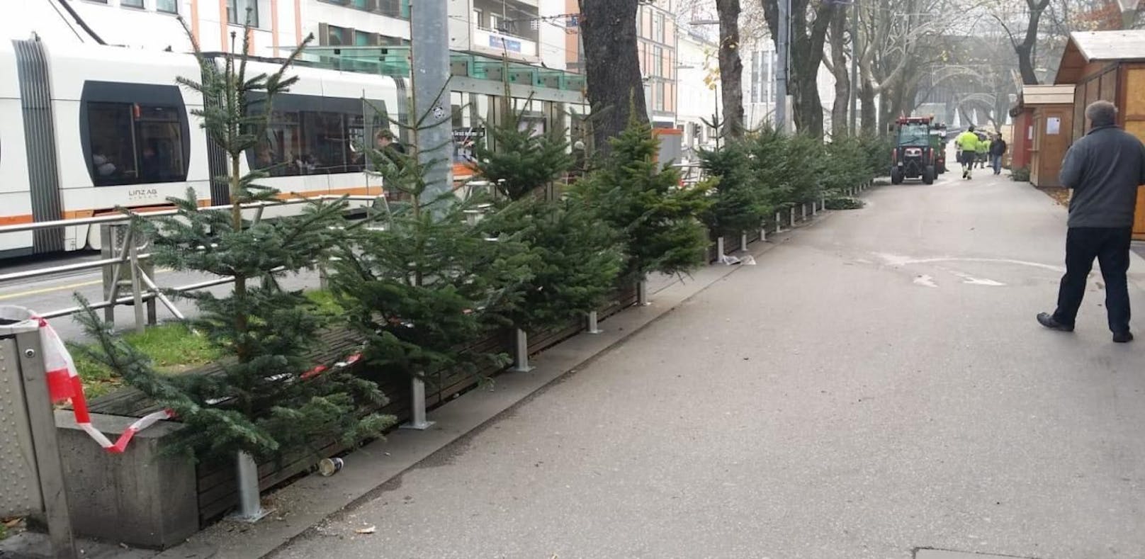 Mit diesen Christbäumen neben den Sitzbänken im Linzer Volksgarten sollen Obdachlose vertrieben werden. 