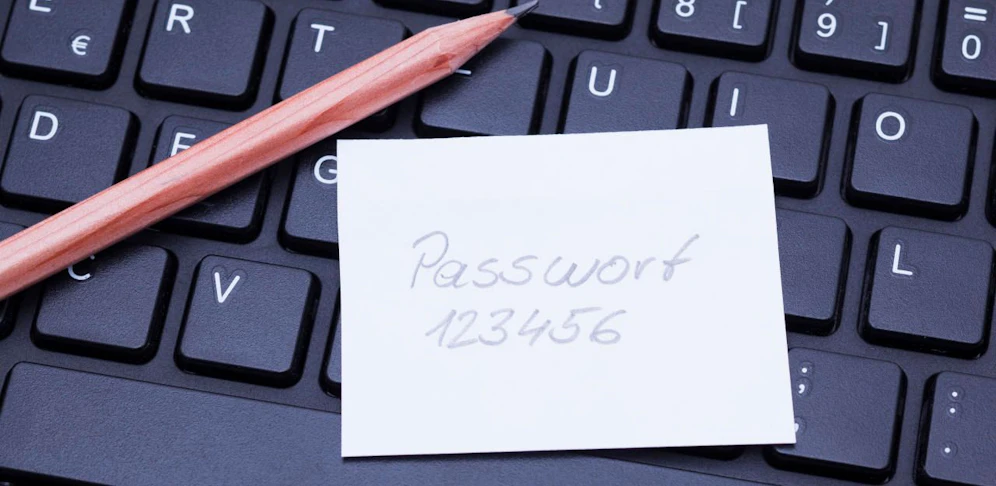 Eine steirische SPÖ-Webseite nutzte "1234" als Passwort.