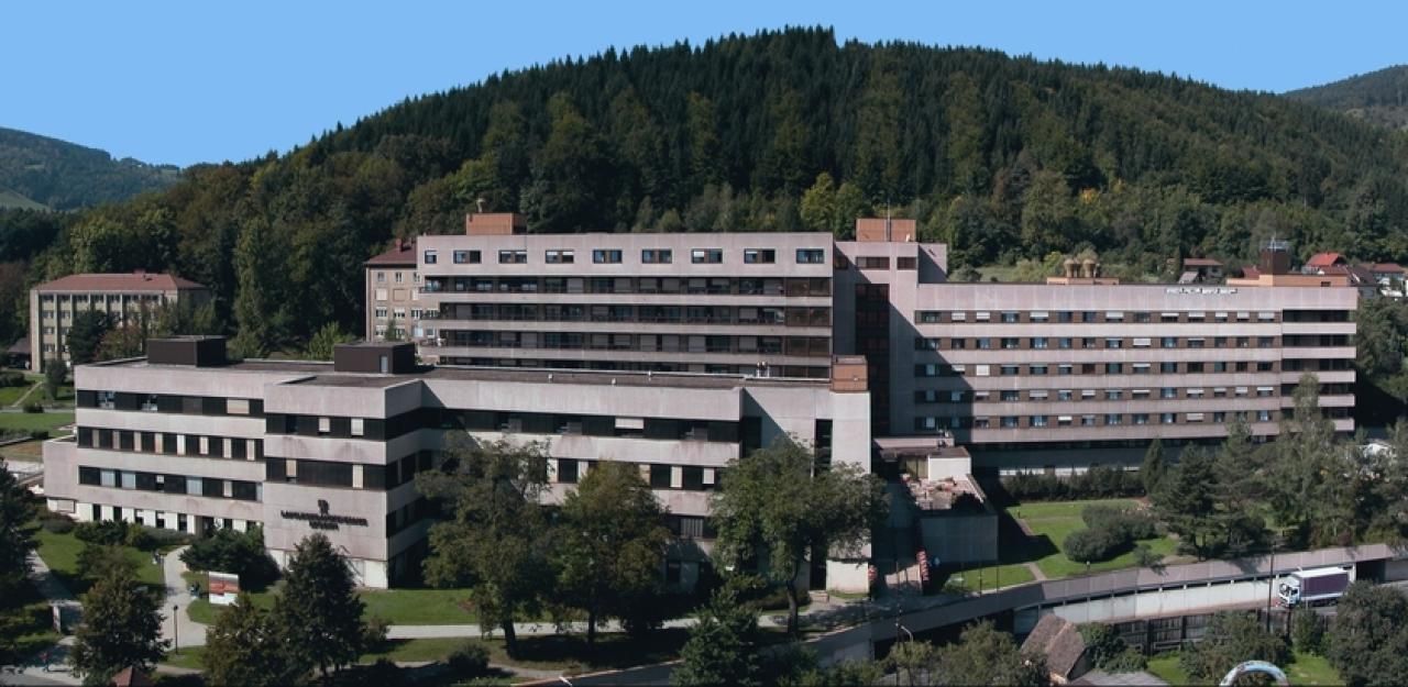 Der Mann entwischte aus dem LKH Hochsteiermark in Leoben.