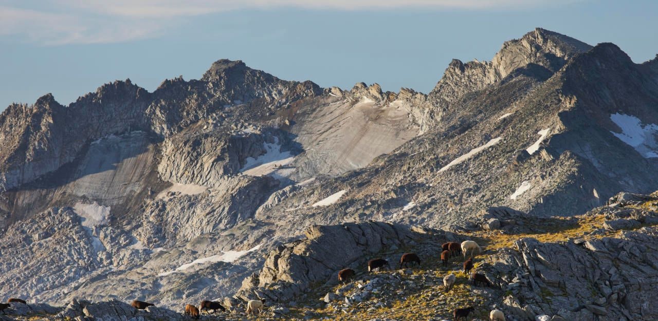 Heute.at - Bergsteiger stürzt 10 Meter ab und hat keine Chance