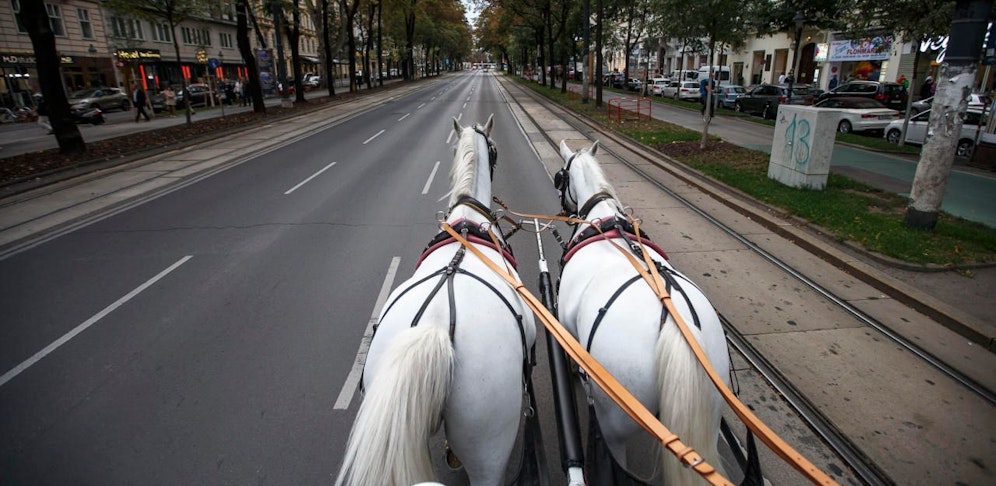 Beschläge für Plastikhufe sollen schonender, aber viel teurer sein als Eisenhufe.