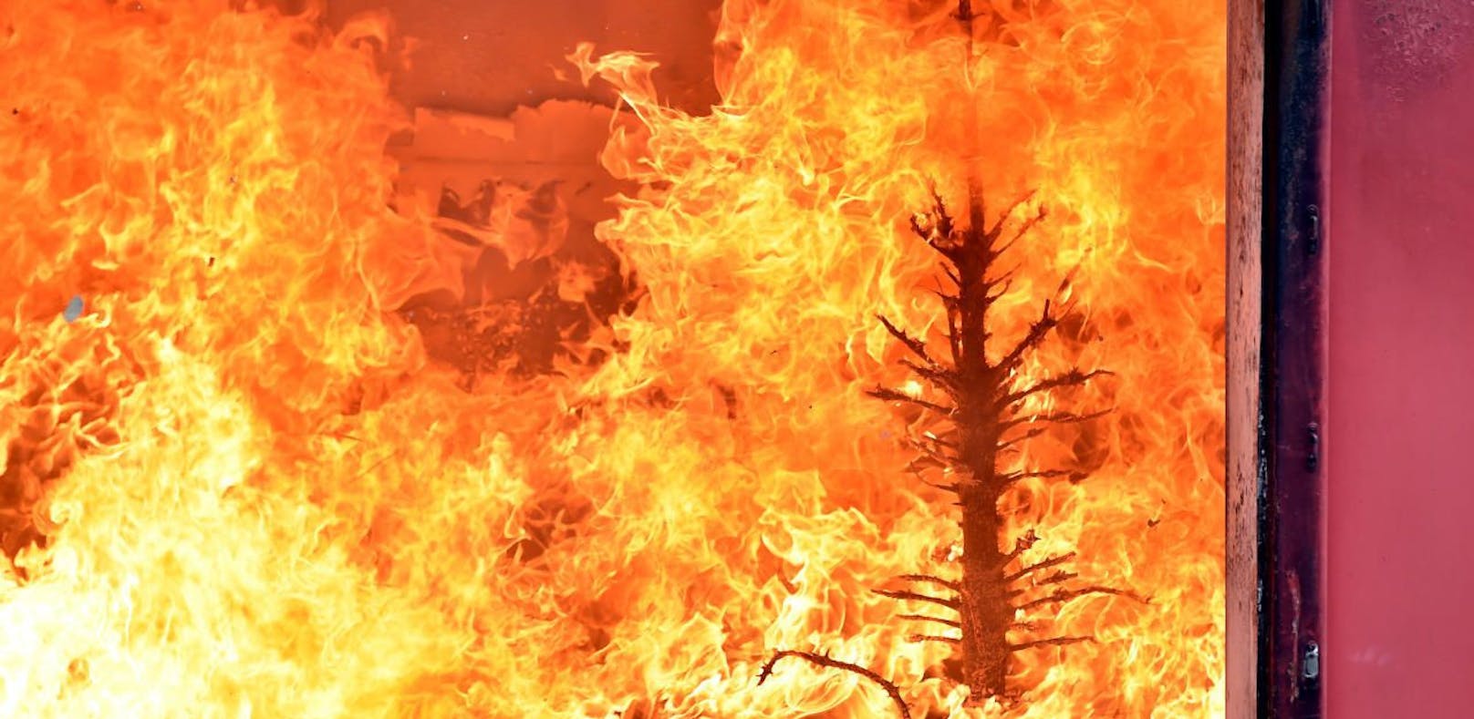 Der Christbaum ging in dem Haus völlig in Flammen auf