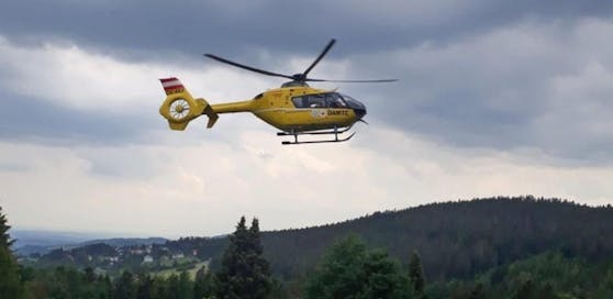 Der Arbeiter wurde per Helikopter ins Spital geflogen.