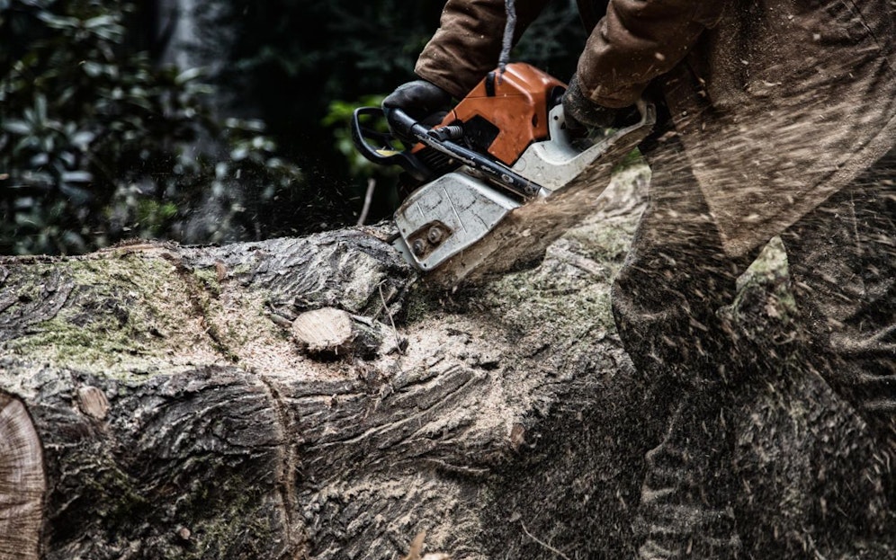 Der 33-Jährige wurde von einem Baum am Kopf getroffen, starb am Weg ins Spital.