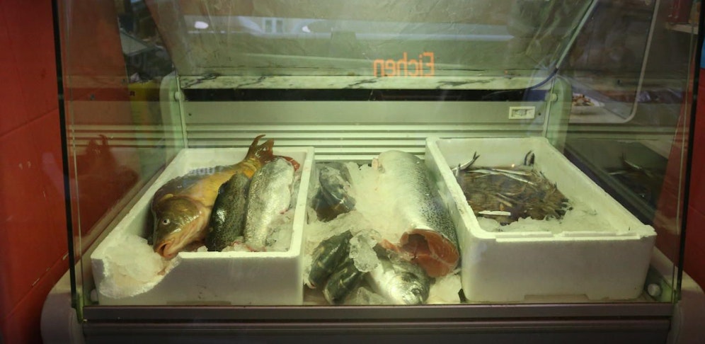 Und so waren die Fische im Eis gelagert.