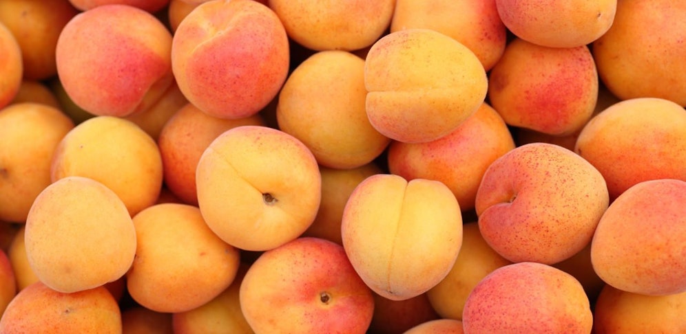 Um fast fünf Tonnen zu viel: Marillentransporter war überladen.