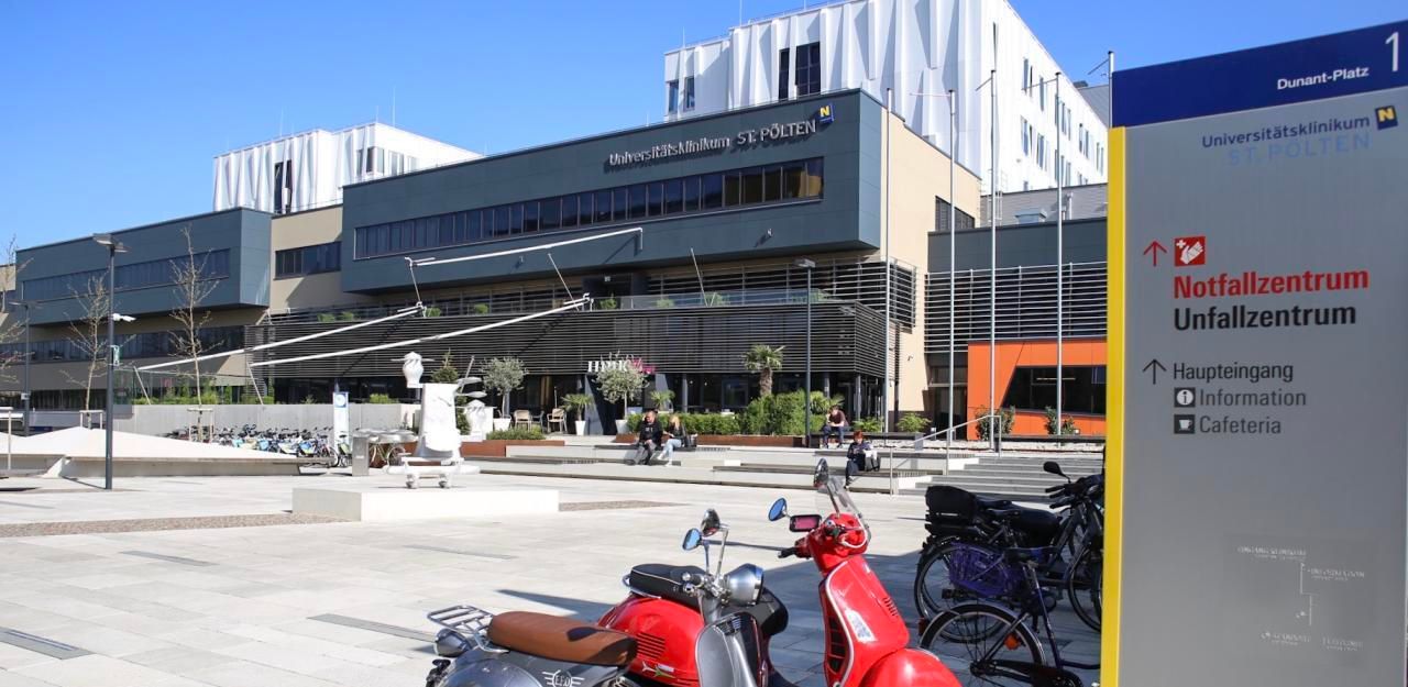 Opfer wurde im Spital St. Pölten operiert.