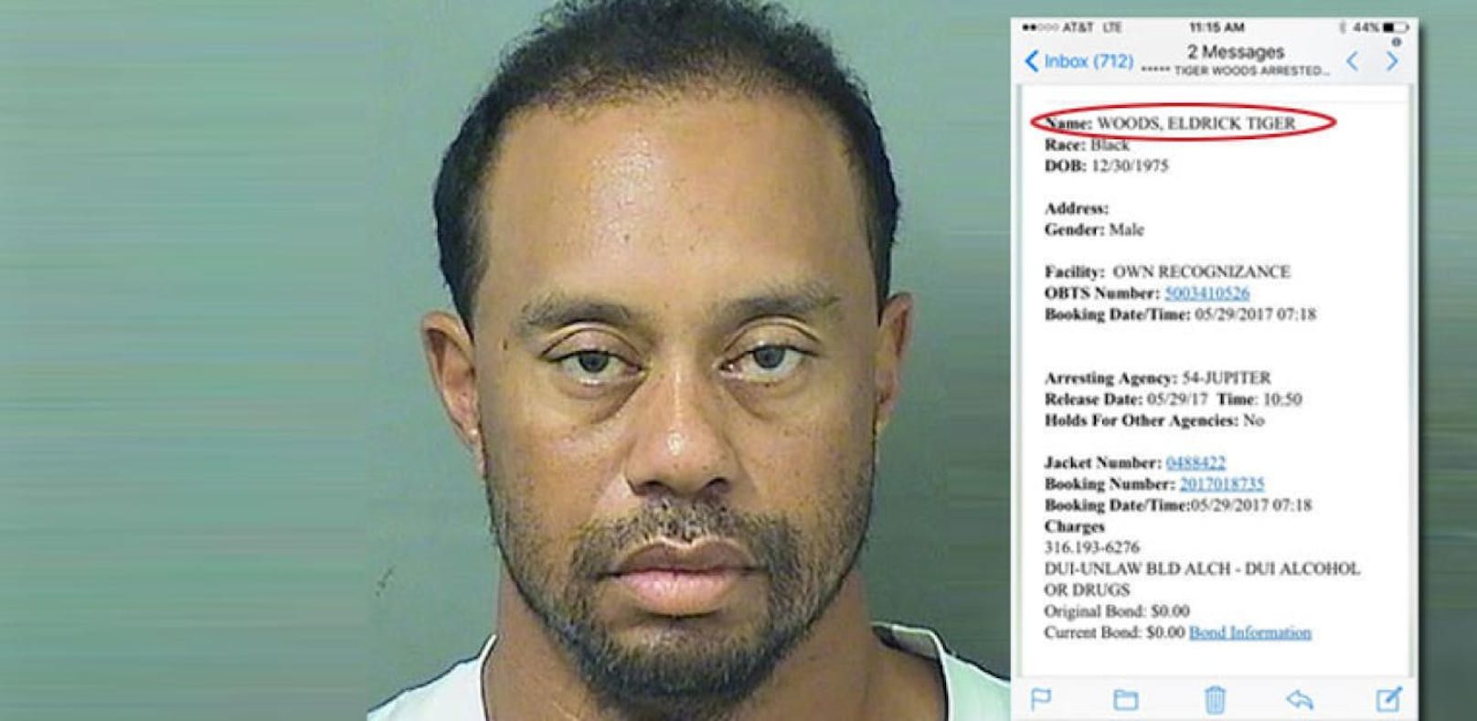 Tiger Woods hatte fünf Drogen intus