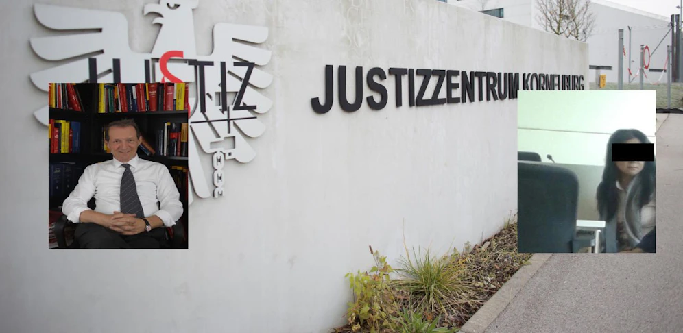 Chinesin (54) musste in Korneuburg vor Gericht; vertreten durch Topanwalt Wolfgang Blaschitz