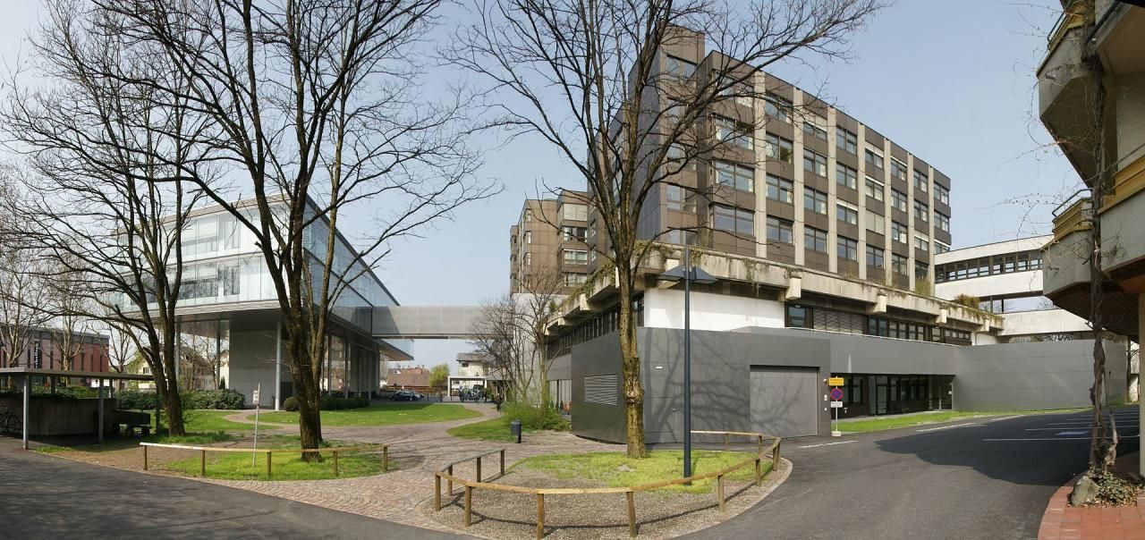 Die Verletzten wurden vor Ort durch den Notarzt erstversorgt und schließlich ins Krankenhaus Dornbirn gebracht.