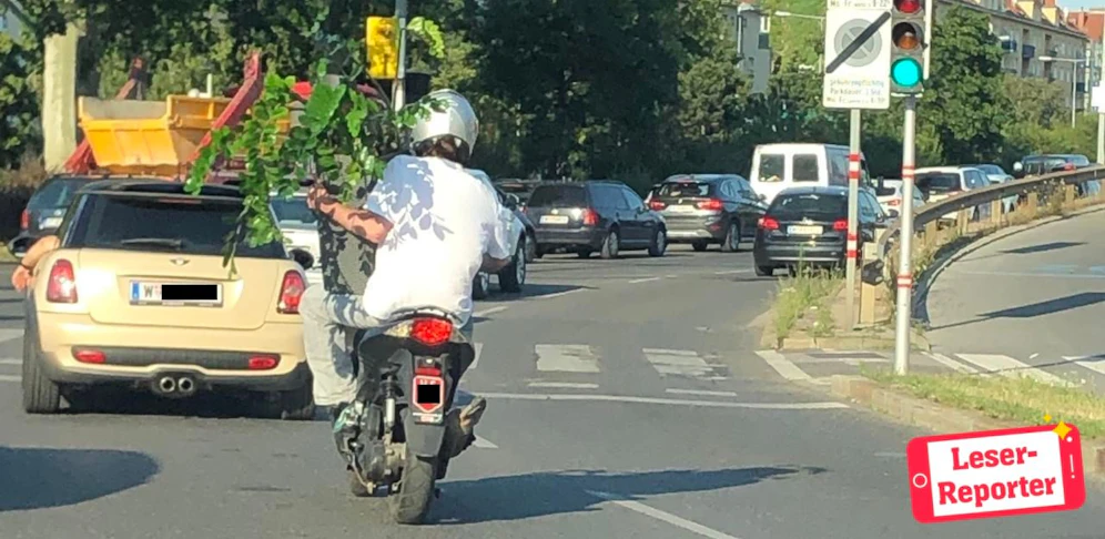 Pflanzen-Transport am Gürtel
