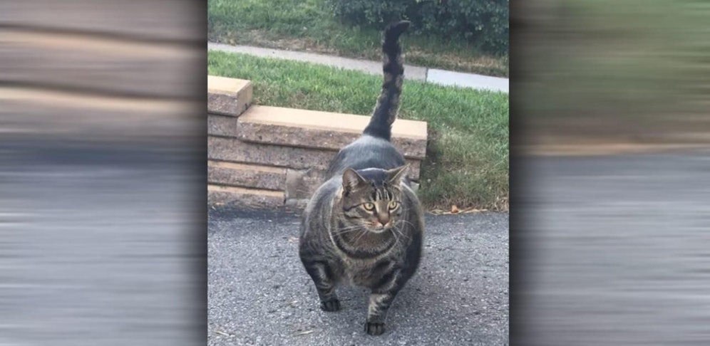 Was ist ihr Geheimnis?