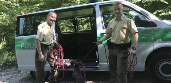 Die Jagdhunde konnten von der Polizei vor dem Hitze-Tod gerettet werden.