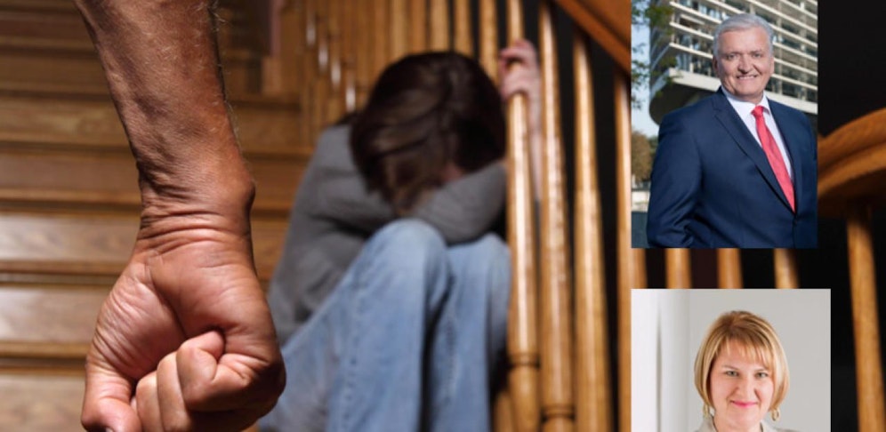 Krismer von den Grünen fordert Aufklärung, SP-Schnabl setzt Kommission ein, 