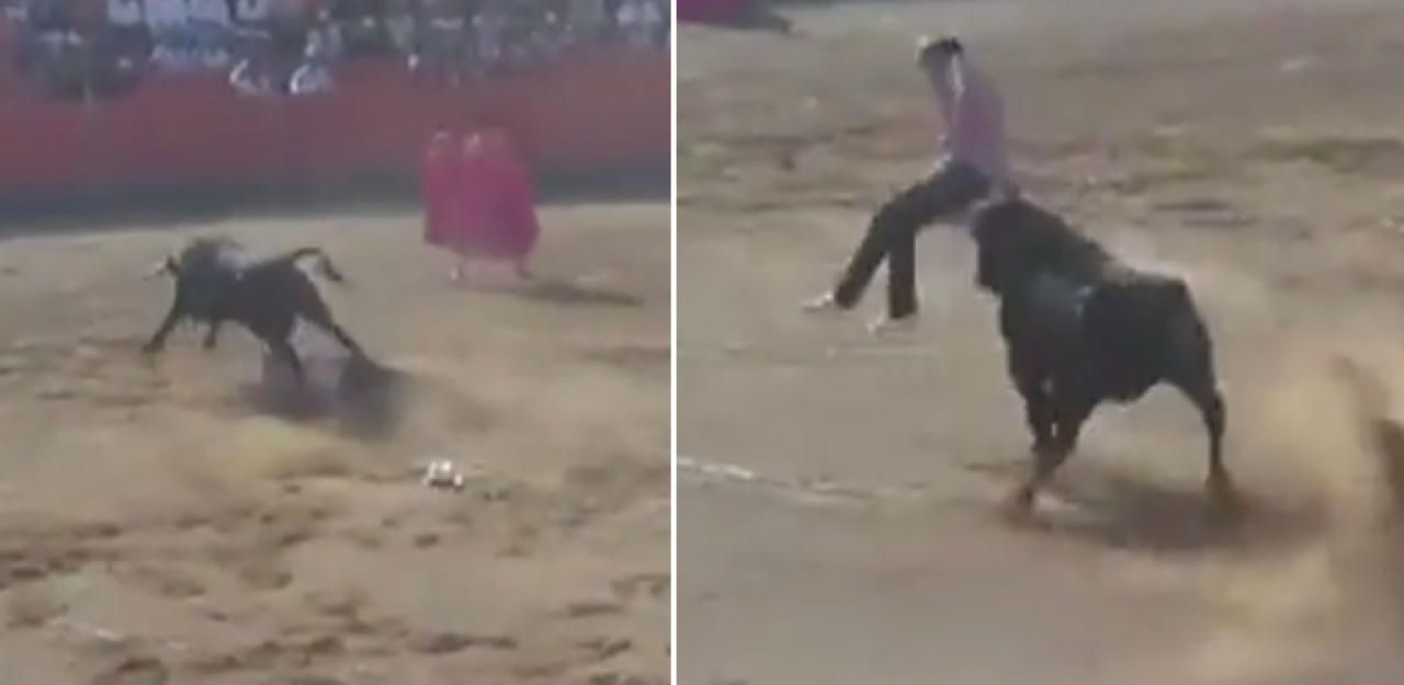 Heute.at - Wilder Stier spießt Tierschützer in Arena auf