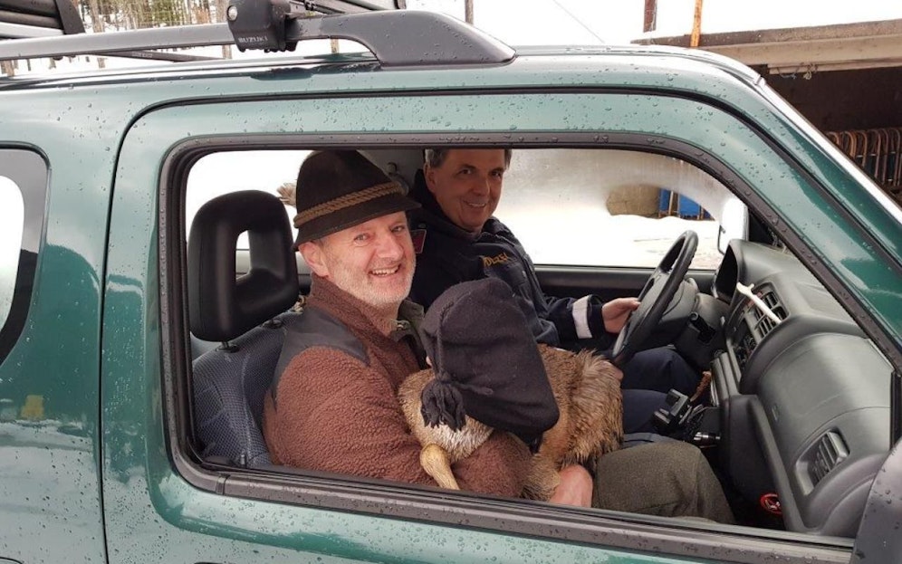 Das Rehkitz hat offenbar seine Mama verloren.