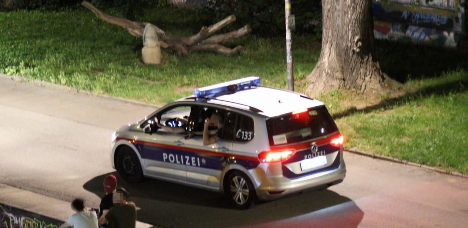 Polizeibeamte griffen im Stadtpark eine 15-jährige Drogenabhängige auf. Sie biss einem Polizisten in den Oberarm. (Symbolfoto)