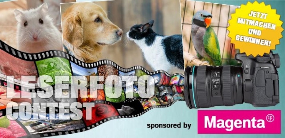 "Heute" & T-Mobile suchen das beste Tier-Foto - jetzt  teilnehmen & gewinnen!