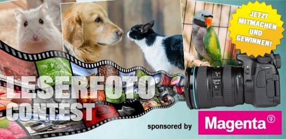 "Heute" & T-Mobile suchen das beste Tier-Foto - jetzt teilnehmen & gewinnen!