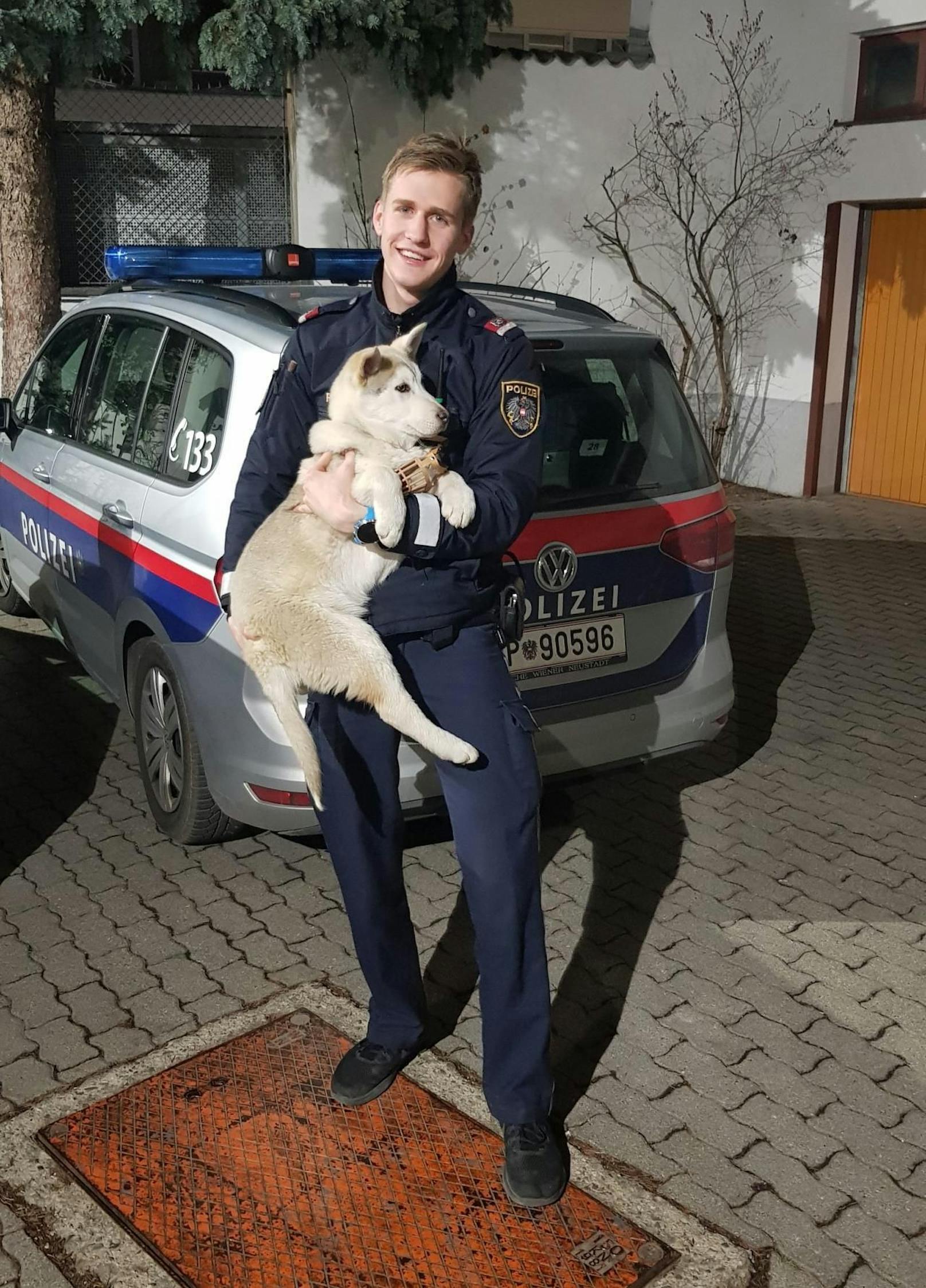 Inspektor Sandro K. kümmerte sich liebevoll um den Husky-Welpen. (c) LPD Wien