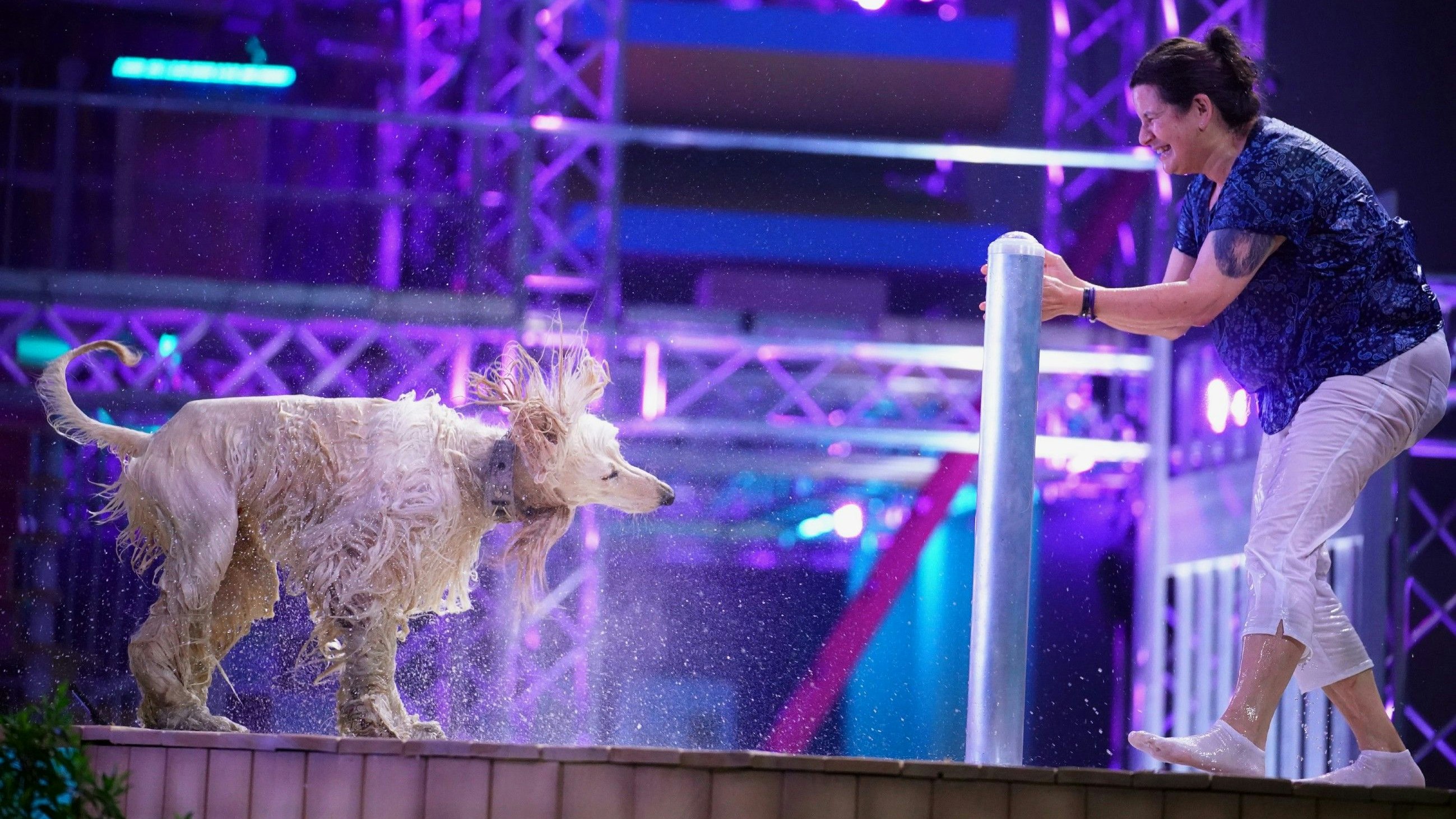 "Top Dog Germany" sucht den talentiertesten Hund Deutschlands.