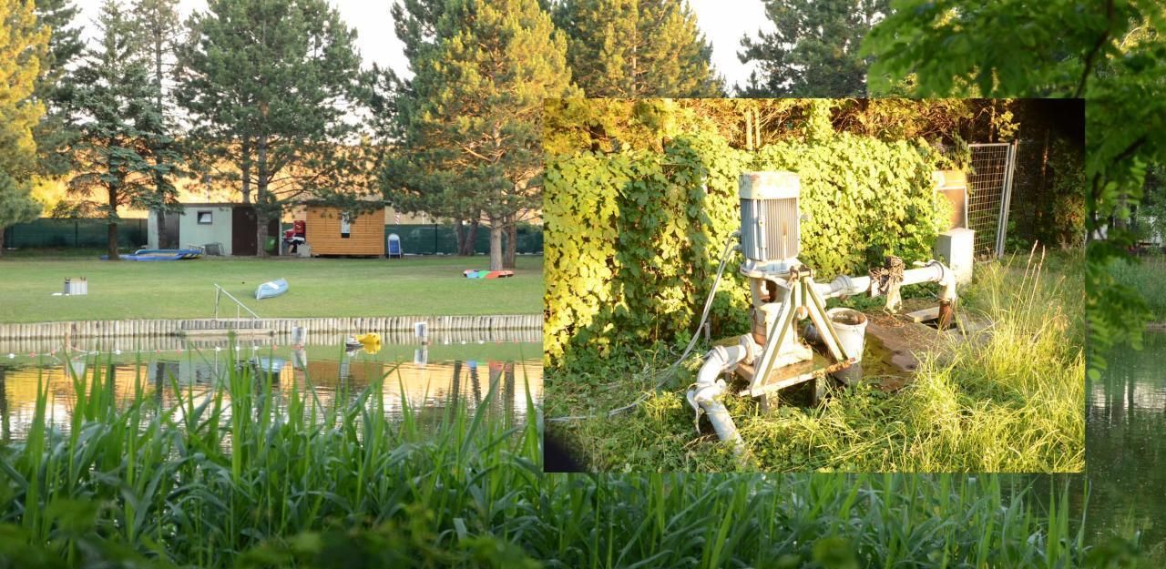 Heute.at - Sabotage am Badeteich in Oberwaltersdorf