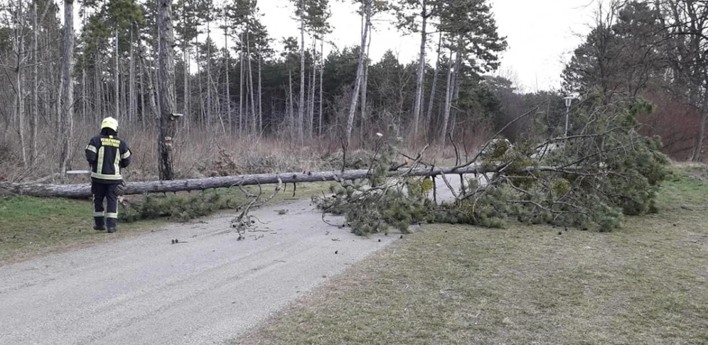 In Breitenau riss der Sturm am Sonntag bereits Bäume um.