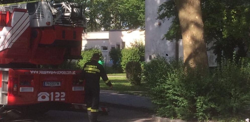 Feuerwehr nach dem Einfangen der Schlange