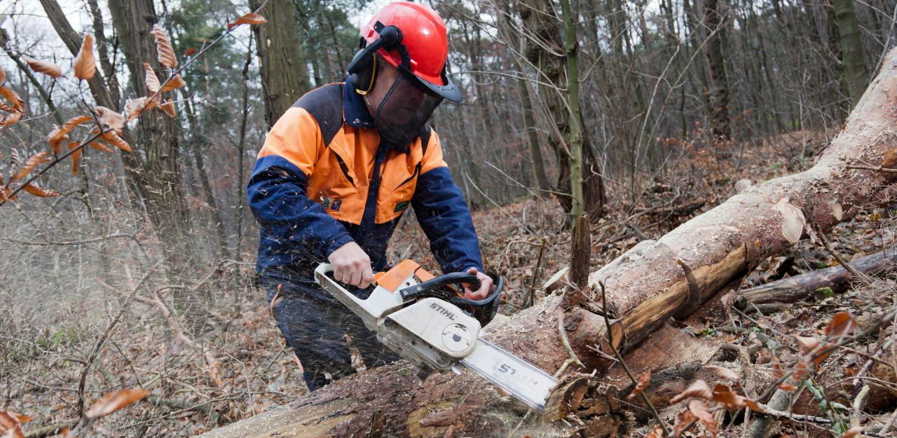 Landwirt von umfallendem Baum fast erschlagen Österreich Heute.at