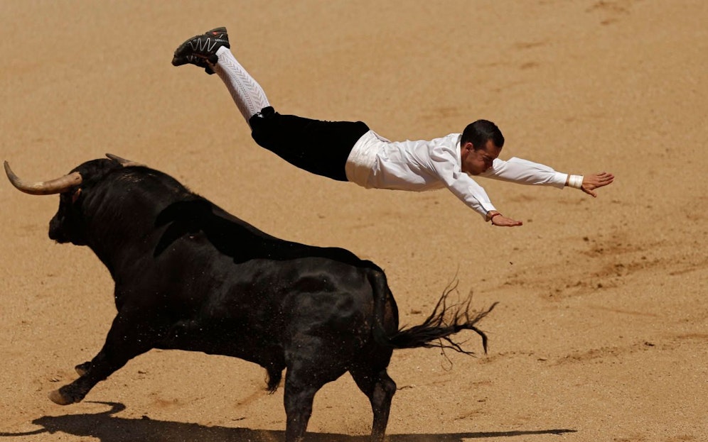 Ein spanischer "Recortador" (Bild) weiß, wie man gefahrlos und elegant über einen wilden Bullen springt: Auf der Azoreninsel Terceira wurde ein Tourist jetzt von einem Stier auf die Hörner genommen und verletzt. 