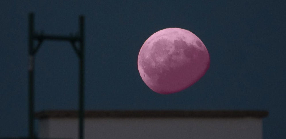 Der "pinke Vollmond" steht für den Neuanfang.