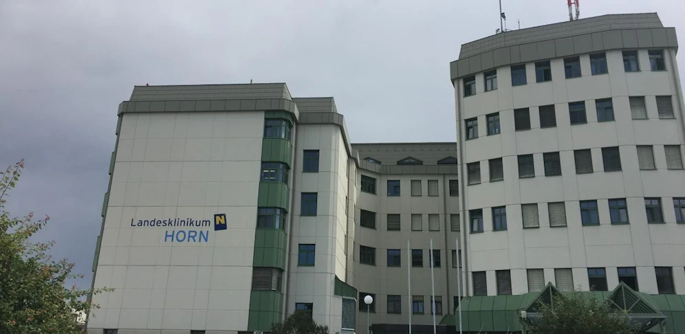 Der Mann wurde ins Spital nach Horn gebracht.